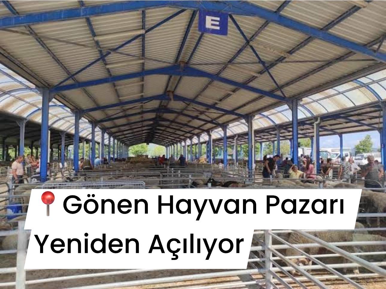 Gönen Hayvan Pazarı Yeniden Açılıyor