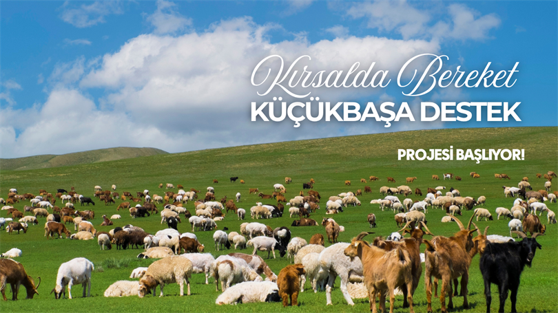  Kırsalda Bereket Projesi Başladı